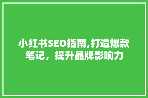 小红书SEO指南,打造爆款笔记，提升品牌影响力  第1张