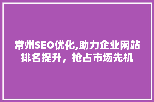 常州SEO优化,助力企业网站排名提升，抢占市场先机