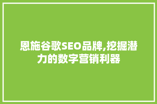 恩施谷歌SEO品牌,挖掘潜力的数字营销利器  第1张
