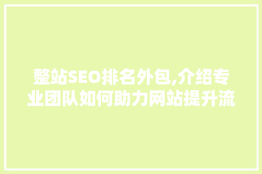 整站SEO排名外包,介绍专业团队如何助力网站提升流量与品牌影响力