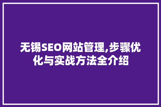 无锡SEO网站管理,步骤优化与实战方法全介绍  第1张