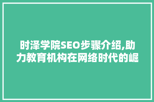 时泽学院SEO步骤介绍,助力教育机构在网络时代的崛起