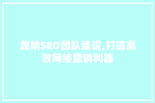 昆明SEO团队建设,打造高效网络营销利器