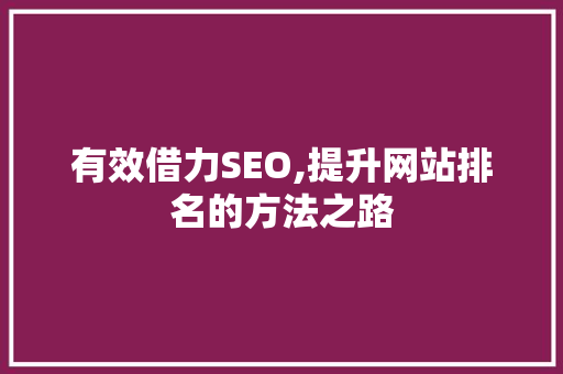 有效借力SEO,提升网站排名的方法之路