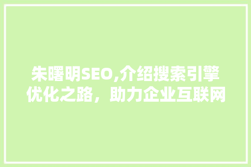 朱曙明SEO,介绍搜索引擎优化之路，助力企业互联网营销腾飞