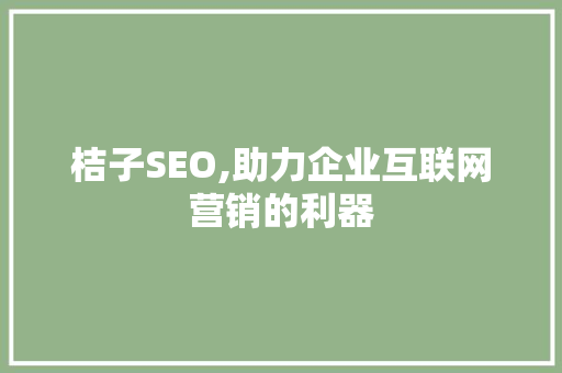 桔子SEO,助力企业互联网营销的利器