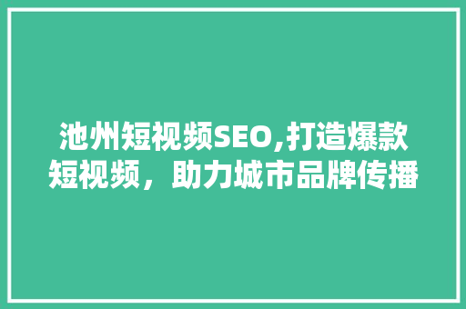 池州短视频SEO,打造爆款短视频，助力城市品牌传播