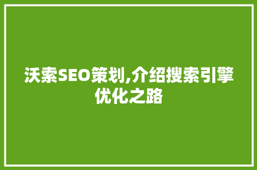 沃索SEO策划,介绍搜索引擎优化之路