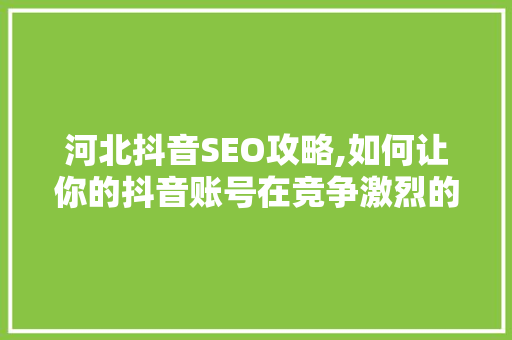 河北抖音SEO攻略,如何让你的抖音账号在竞争激烈的市场中脱颖而出