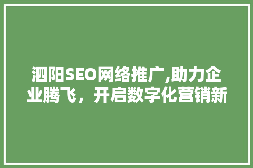 泗阳SEO网络推广,助力企业腾飞，开启数字化营销新篇章