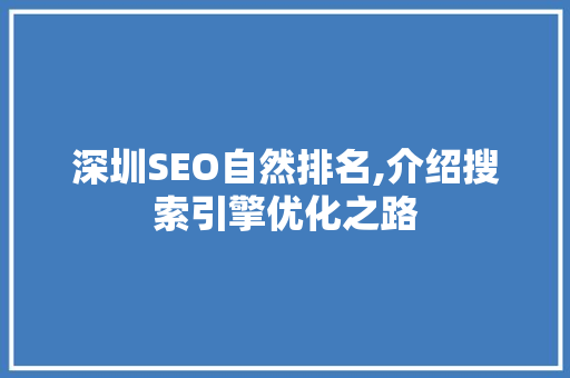 深圳SEO自然排名,介绍搜索引擎优化之路