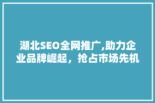 湖北SEO全网推广,助力企业品牌崛起，抢占市场先机