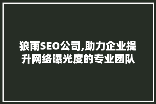 狼雨SEO公司,助力企业提升网络曝光度的专业团队