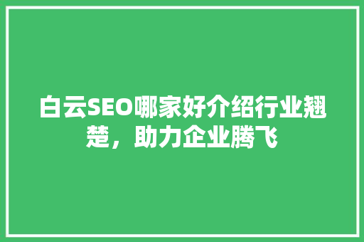 白云SEO哪家好介绍行业翘楚，助力企业腾飞