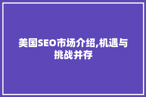 美国SEO市场介绍,机遇与挑战并存