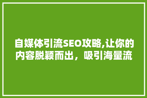 自媒体引流SEO攻略,让你的内容脱颖而出，吸引海量流量
