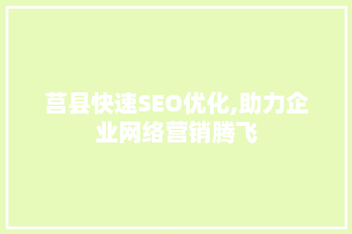 莒县快速SEO优化,助力企业网络营销腾飞