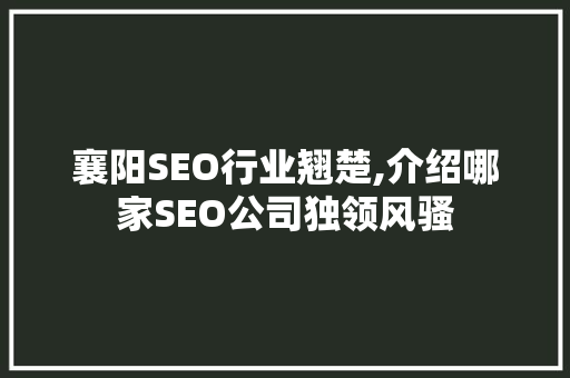 襄阳SEO行业翘楚,介绍哪家SEO公司独领风骚