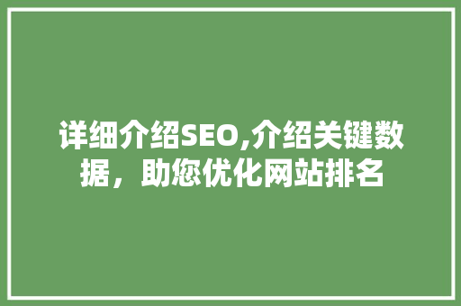 详细介绍SEO,介绍关键数据，助您优化网站排名