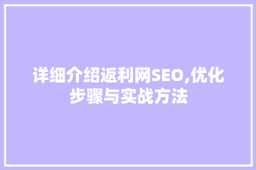 详细介绍返利网SEO,优化步骤与实战方法