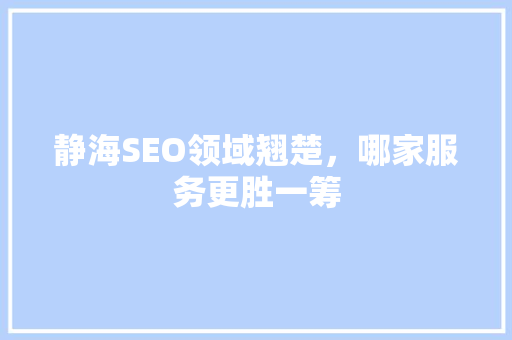 静海SEO领域翘楚，哪家服务更胜一筹