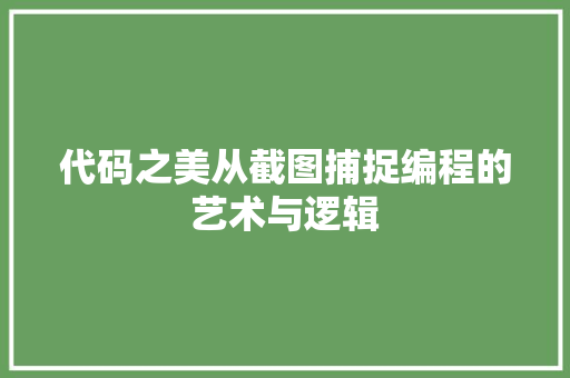 代码之美从截图捕捉编程的艺术与逻辑