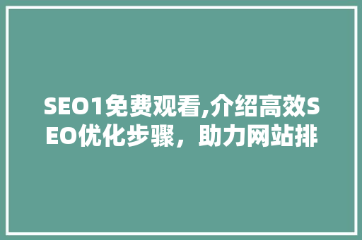 SEO1免费观看,介绍高效SEO优化步骤，助力网站排名提升