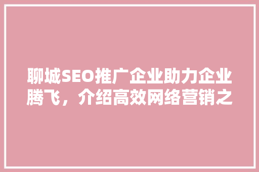 聊城SEO推广企业助力企业腾飞，介绍高效网络营销之路