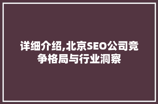 详细介绍,北京SEO公司竞争格局与行业洞察