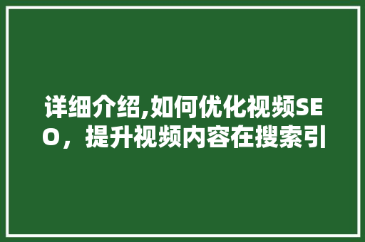 详细介绍,如何优化视频SEO，提升视频内容在搜索引擎中的排名