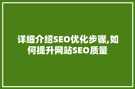 详细介绍SEO优化步骤,如何提升网站SEO质量