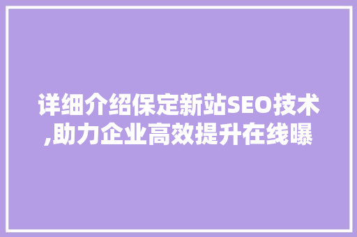 详细介绍保定新站SEO技术,助力企业高效提升在线曝光度