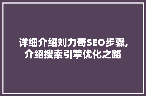详细介绍刘力奇SEO步骤,介绍搜索引擎优化之路