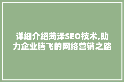 详细介绍菏泽SEO技术,助力企业腾飞的网络营销之路
