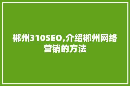 郴州310SEO,介绍郴州网络营销的方法
