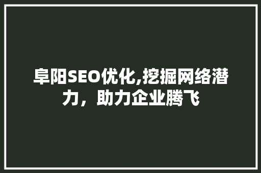 阜阳SEO优化,挖掘网络潜力，助力企业腾飞