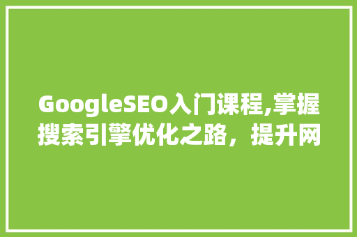GoogleSEO入门课程,掌握搜索引擎优化之路，提升网站排名