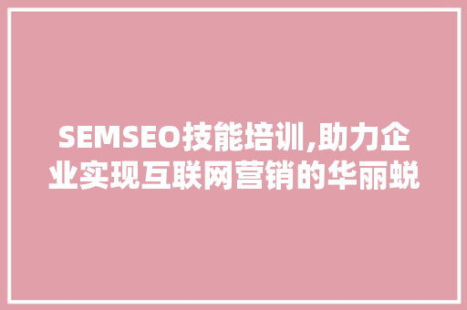 SEMSEO技能培训,助力企业实现互联网营销的华丽蜕变
