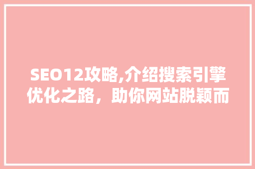 SEO12攻略,介绍搜索引擎优化之路，助你网站脱颖而出
