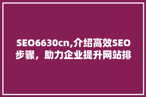 SEO6630cn,介绍高效SEO步骤，助力企业提升网站排名