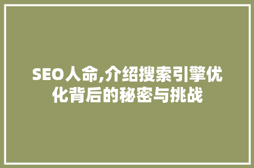 SEO人命,介绍搜索引擎优化背后的秘密与挑战