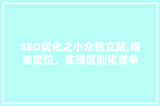 SEO优化之小众独立站,精准定位，实现区别化竞争