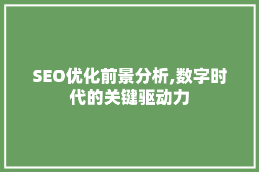 SEO优化前景分析,数字时代的关键驱动力