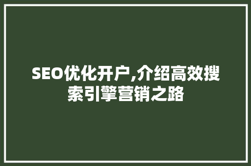 SEO优化开户,介绍高效搜索引擎营销之路