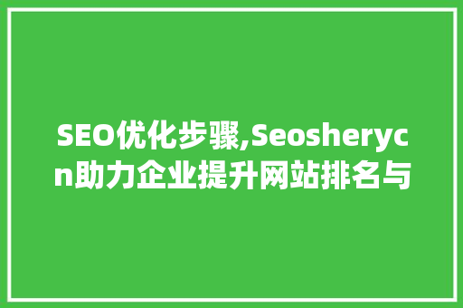 SEO优化步骤,Seosherycn助力企业提升网站排名与流量