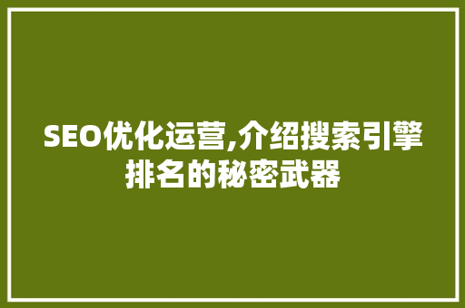 SEO优化运营,介绍搜索引擎排名的秘密武器