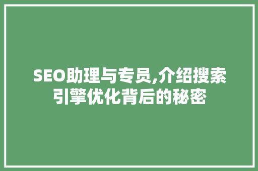 SEO助理与专员,介绍搜索引擎优化背后的秘密