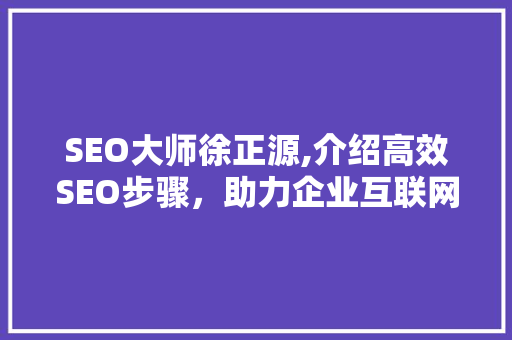 SEO大师徐正源,介绍高效SEO步骤，助力企业互联网营销腾飞
