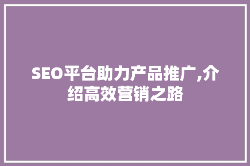 SEO平台助力产品推广,介绍高效营销之路