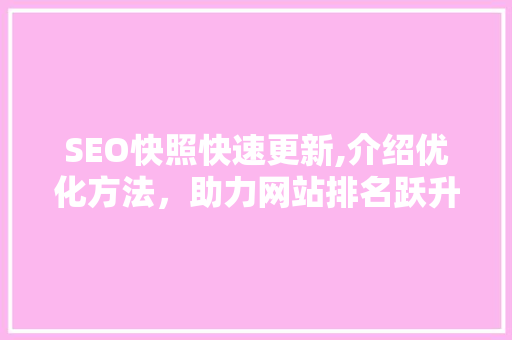 SEO快照快速更新,介绍优化方法，助力网站排名跃升